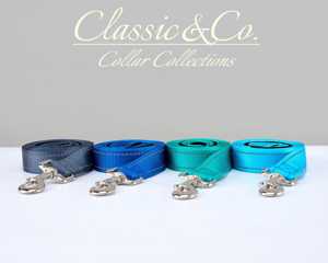 Nom d'animal brodé bleu ciel, collier réfléchissant réglable personnalisé avec laisse pour chiens, taille S/M/L/XL en plusieurs couleurs - Product Image 5