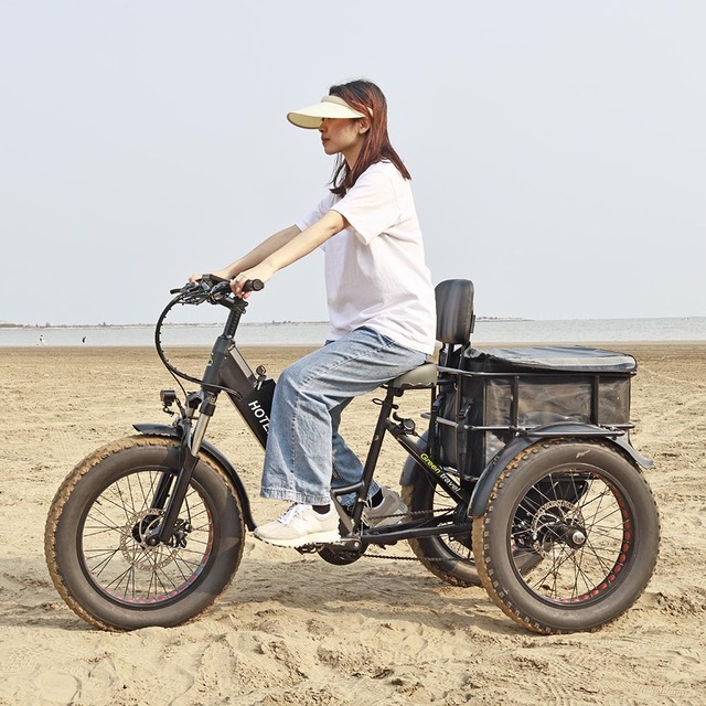 Adults 3 Wheel Electric Cargo Bike 20Inch Fat Tire Open Body 48V 500W-750W Brushless Motor 200-300kg Payload