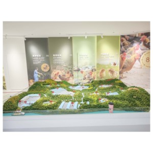 Modelo de Granja Ecológica con Mesa de Arena, Maqueta Agrícola, Cría de Pollos al Aire Libre, Diorama para Exposiciones Agrícolas - Product Image 4