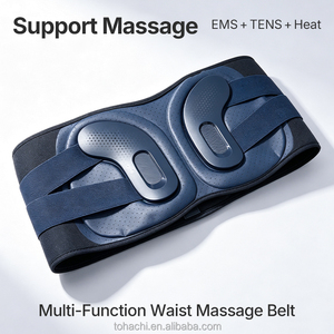 Tohachi EMS TENS Dual Pulse 16-Strength Deep Tissue Massage Wholesale Large-Area <b>Heating</b> EMS EVS Waist Massage Belt - Product Image 1