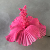 Fleurs Artificielles en Mousse Style Polynésien Hawaïen, Accessoires de Décoration, Hibiscus en EVA pour Mariage et Fête