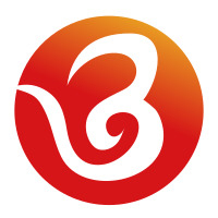 Chongqing Born Auto Parts Co., Ltd. logo