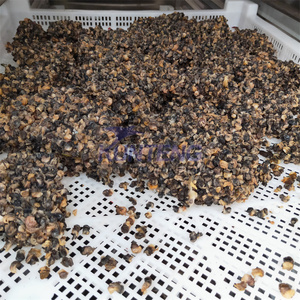 Machine de séchage électrique pour sécher l'asticot granulé poisson insectes fumier de vache balle de riz nourriture pour chien machine de séchage de viande commerce - Product Image 3
