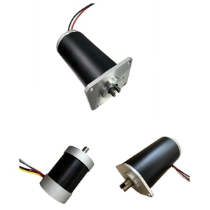 Custom Brushed or Brushless Dc Pump Motor 24v 12v 36v 48v for Water Oil Hydraulic Air Pump 50w 100w 200w 500w 800w - Product Image 1
