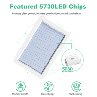 Lampe à LED pour plantes 220V Lampe de culture Phytolamp Éclairage intérieur Lampara Full Spectrum Greenhouse Flower Seeds Tent Bulb LED Panel 110V