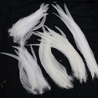Grandes plumes blanches de coq pour artisanat, bricolage, costumes, accessoires de chapeau, décorations de fête, carnaval, mariage