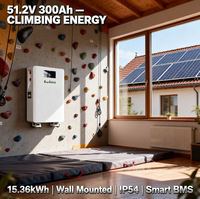 Baterai Lithium Ion 15kWh 48V 51.2V 300Ah untuk Sistem Tenaga Surya Terpasang di Dinding dengan Roda