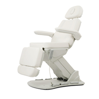 Fauteuil d'examen de beauté professionnel moderne, lit de massage facial électrique avec fonction inclinable, pour salon, spa, chambre, en métal