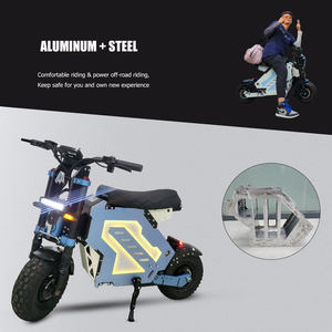 Motocicletta elettrica efficiente con batteria 52 v40ah, doppio motore 2000W e prestazioni 70 KM/h - Product Image 6