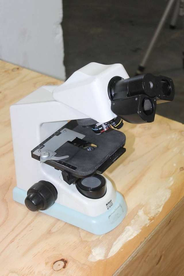 Eclipse E100 Trinocular Biological Microscope| Alibaba.com