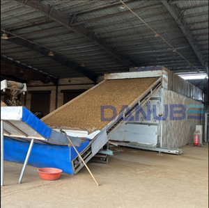 Industrial Continuous Mesh Belt <b>Drying</b> Line PLC Automatic Peanut Grain Vegetable Dehydrator <b>Equipment</b> - Product Image 2