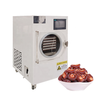 BZ4-6kg Automatische Pomp Vriesdroogapparaat Kleine Mini Huishoudelijke Lyofilisator Vacuümvriesdroger Energiebesparende Machine voor Voedsel, Fruit en Snoep