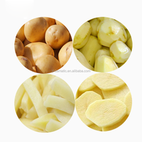 Restaurant Automatische Elektrische 300kg Per Uur 2-in-1 Cassave Aardappel Friet Chips Schil- en Snijmachine