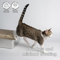Litière pour chat en tofu broyé écologique et biodégradable, matière végétale pure, sans additif chimique, absorption rapide, sans poussière, sable pour chat