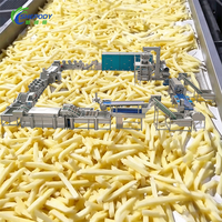 Ligne de production industrielle de snacks Shepody 100kg 300kg 500kg 1000kg 200kg 3000kg Ligne complète de production de frites surgelées