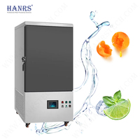 2025 Hanrs Vertical Liquide Azote Alimentaire Congélateur 196 Degrés Zéro Frozen Food Lock Air Cooler Type