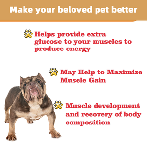 Suplemento para Aumentar Peso <span class=keywords><strong>en</strong></span> Perros, Ganador de Peso Personalizado, Proteína <span class=keywords><strong>en</strong></span> Polvo para Desarrollo Muscular Canino, Alimento Suplementario Alto <span class=keywords><strong>en</strong></span> Calorías para Perros - Product Image 5