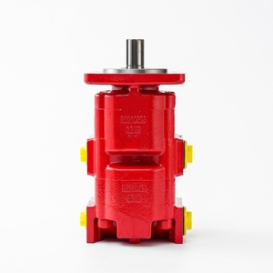 Pompe hydraulique à double engrenage de remplacement R7 - Product Image 2