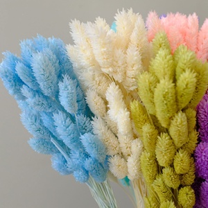 Hierba de gemas reales para arreglos florales y bodas/Fabricación de ramos de flores secas <span class=keywords><strong>Phalaris</strong></span> para decoraciones del hogar y de Graduación - Product Image 3