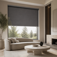 Stores à enroulement intemporels et personnalisables en tissu, avec système de freinage à ressort, filtrant la lumière du jour, sur mesure pour la maison et le bureau