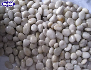 Bán Gạch Lát Sàn Sân Vườn Ngoài Trời Sỏi Trắng - Product Image 3