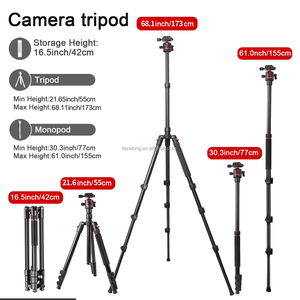 Portable photographe équipement caméra trépied affichage monopode caméra Q-173 support extérieur voyage caméra vidéo trépied support 173cm - Product Image 6