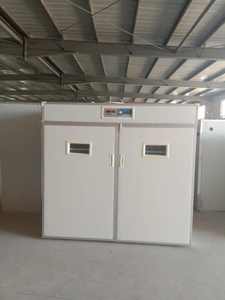 Incubateur à œufs pas cher 4224, incubateur pour volailles à vendre avec garantie de 3 ans - Product Image 3