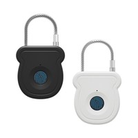 Cadenas de sécurité intelligent électronique à empreinte digitale en acier pour porte, petit format, pour sac à main, vente en gros Chine