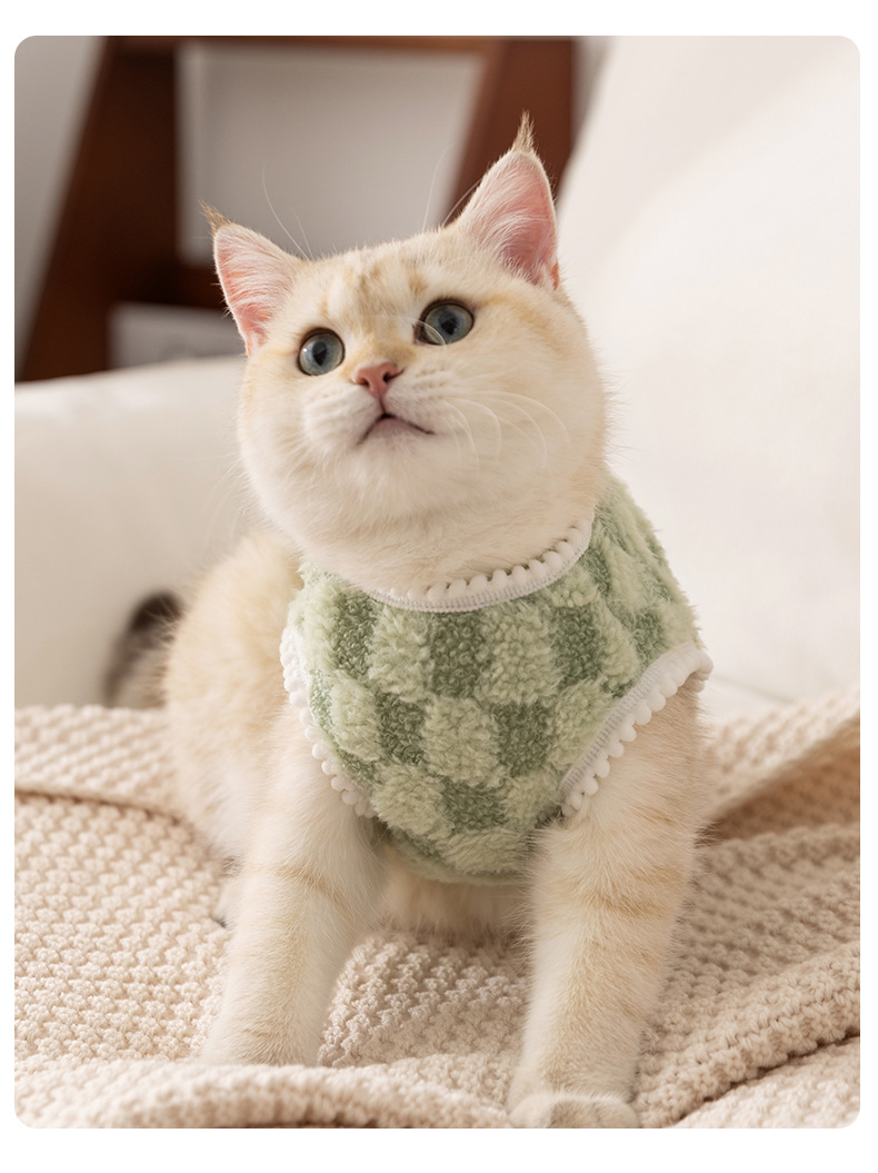 couleur personnalisée