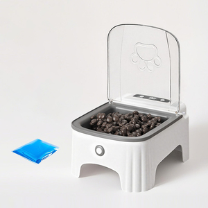 <b>Timer</b> Auto-Lid Pet Feeder - Cat Dog Food Bowl Dispenser Export Trade - Product Image 1