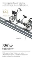 Tricycle Électrique Pliable Personnalisé pour Personnes Âgées, Double Siège Ouvert, Moteur 400W, Batterie Lithium, Assistance à la Pédale, Léger - Offre Spéciale