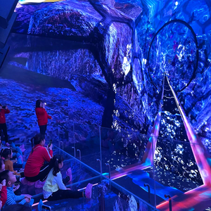 Espace Cinéma Intérieur Immersif à LED Film 8K de 'Monstres de la Montagne et de la Mer' Écran Cinq Voies Thème Métallique pour Aéroport - Product Image 5