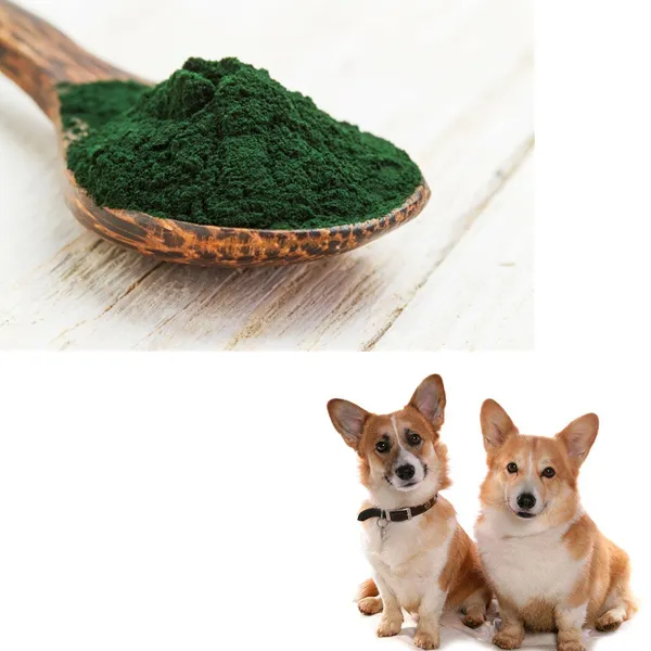 Animal feed grade spirulina tablet organic health supplement for animals