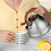 Bouilloire à thé en acier inoxydable, personnalisée, offre spéciale