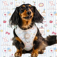 Nouvel Ensemble Harnais de Luxe pour Chien 2026 – Personnalisable, Réglable, Rembourré, Respirant, Écologique et Confortable – Design Exclusif
