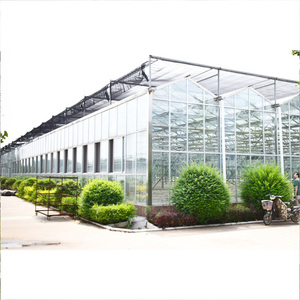Grande serra da giardino agricola Multi-Span-struttura in vetro <span class=keywords><strong>di</strong></span> alta qualità per una crescita efficiente delle <span class=keywords><strong>colture</strong></span> - Product Image 4
