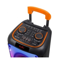 NDR1095 Altavoces grandes para exteriores DJ party caja de luz LED colorida sonido doble altavoz de carro recargable de 8 pulgadas con micrófono