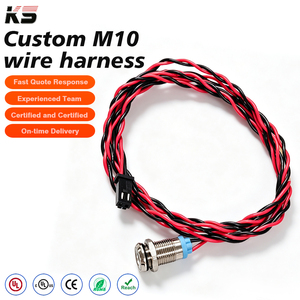 Câble d'extension servo A2543 M10, connecteur mâle-femelle <span class=keywords><strong>2</strong></span> broches, 24AWG, étanche IP67, faisceau de câbles industriel - Product Image 1