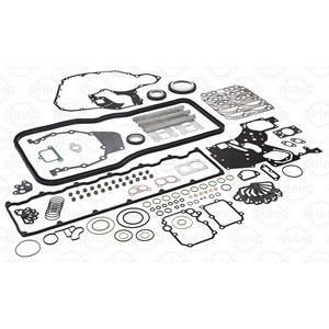 Kit completo di guarnizioni, adatto per motore MAN serie 742.820 - Product Image 1