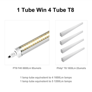 PT8/PT5 Tube Lumière 10W 18W 32W 36W 40W Commercial Hydroponique légumes <span class=keywords><strong>Fraise</strong></span> élèvent des lumières Agriculture verticale - Product Image 4