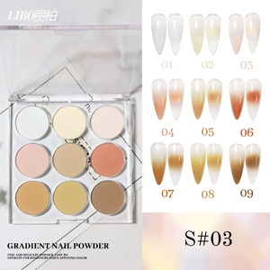Nouvelle palette de dégradé pour nail art, poudre solide, paillettes, pigment, poudre miroir, 9 couleurs/ensemble, nail art - Product Image 1