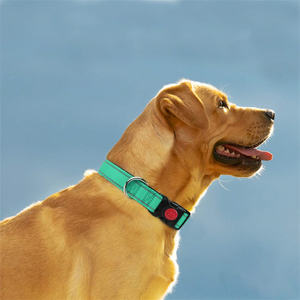 <span class=keywords><strong>Collar</strong></span> de perro mascota ajustable cómodo y duradero con logotipo personalizado del fabricante, <span class=keywords><strong>Collar</strong></span> de perro reflectante de nailon acolchado de neopreno - Product Image 5