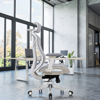 Chaise de bureau exécutive ergonomique en maille confortable et contemporaine, pivotante, avec vérin à gaz certifié Classe 3 et soutien lombaire auto-ajustable
