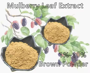 ผงสารสกัดจากใบหม่อนบรรจุจำนวนมาก - Product Image 3