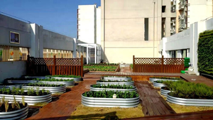 Jardinière ovale surélevée en acier galvanisé, écologique, pour légumes et fleurs, utilisation intérieure/extérieure - Product Image 5