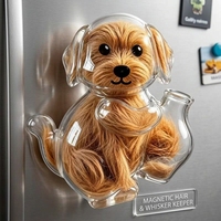 Vente en gros d'articles pour animaux de compagnie : Boîte de rangement magnétique transparente pour poils de chat et de chien, capsule commémorative créative pour animaux de compagnie