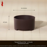 Pot de fleurs en résine moderne pour rebord de fenêtre, petit pot de paysage pour plantes succulentes et plantes à tronc ancien, design épuré