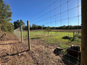 Clôture pour cerfs en acier galvanisé épais <span class=keywords><strong>de</strong></span> haute qualité testée SGS, installation rapide, pour élevage <span class=keywords><strong>de</strong></span> moutons, pâturage, bétail agricole - Product Image 1