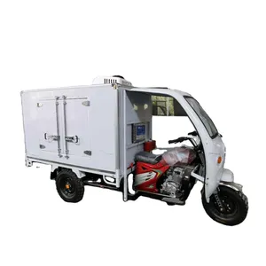 Wholesale Freezer tricycle ice cream Freezing Tricycle-Cargo with three wheels