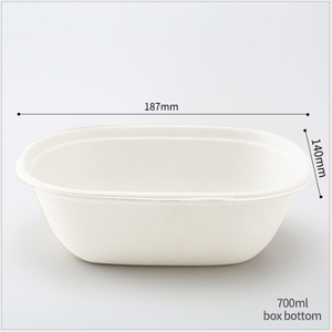 Disposable Degradable And Eco Friendly Oval Children's Large Capacity Bento Lunch Box - Product Image 4